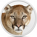   Mountain Lion   