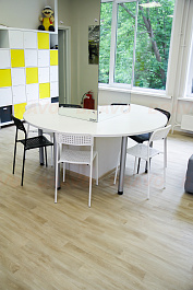 ������� ���� ��� �������� �������